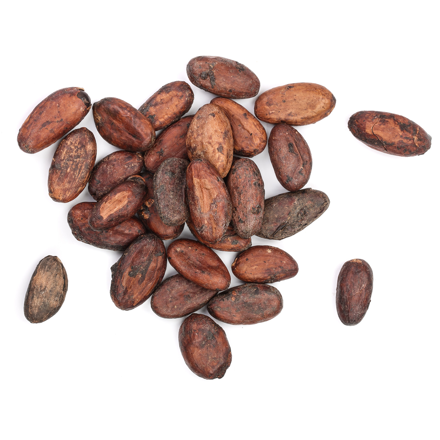 organic cacao beans